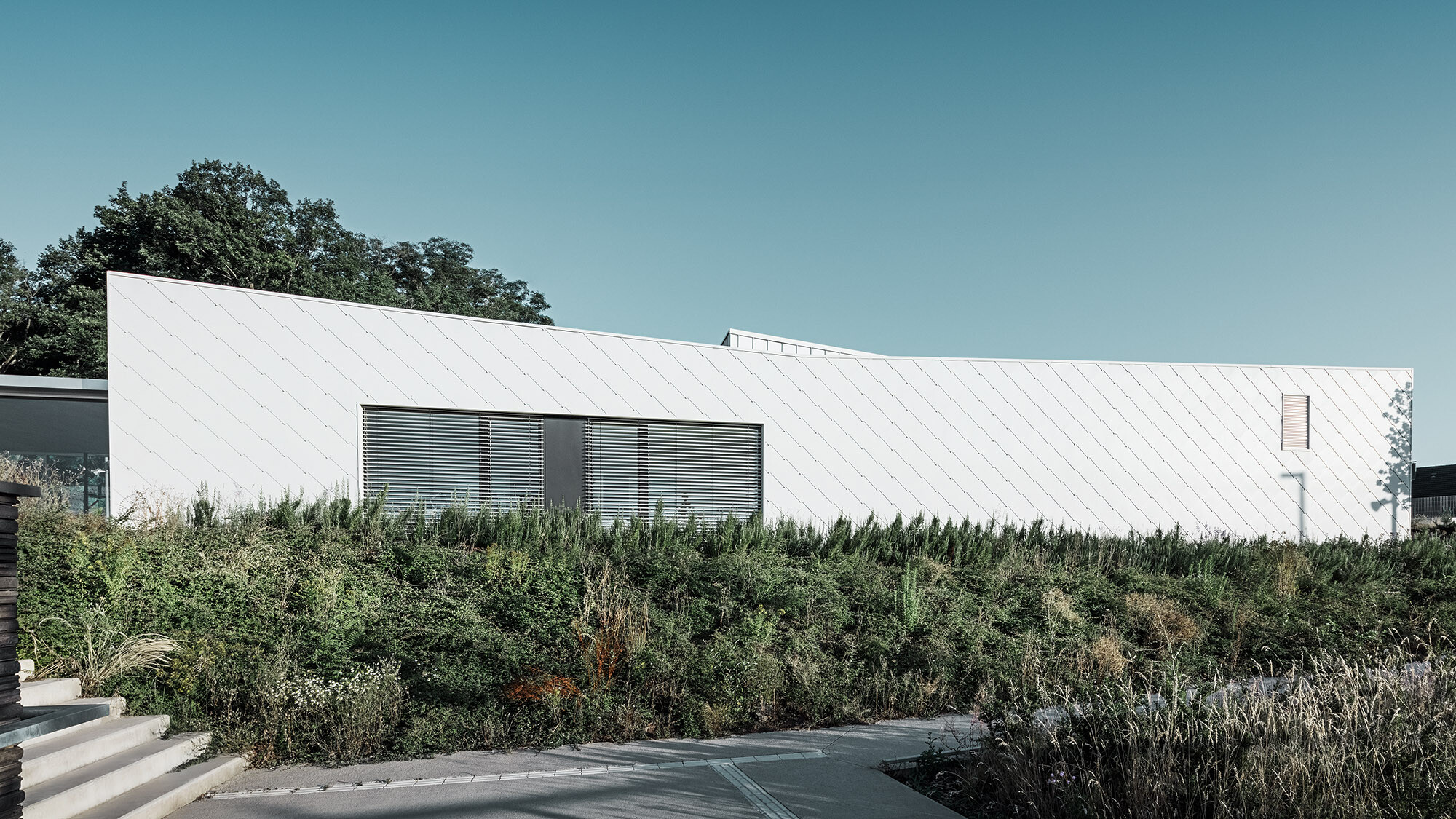 The elongated building of the daycare centre from the side.