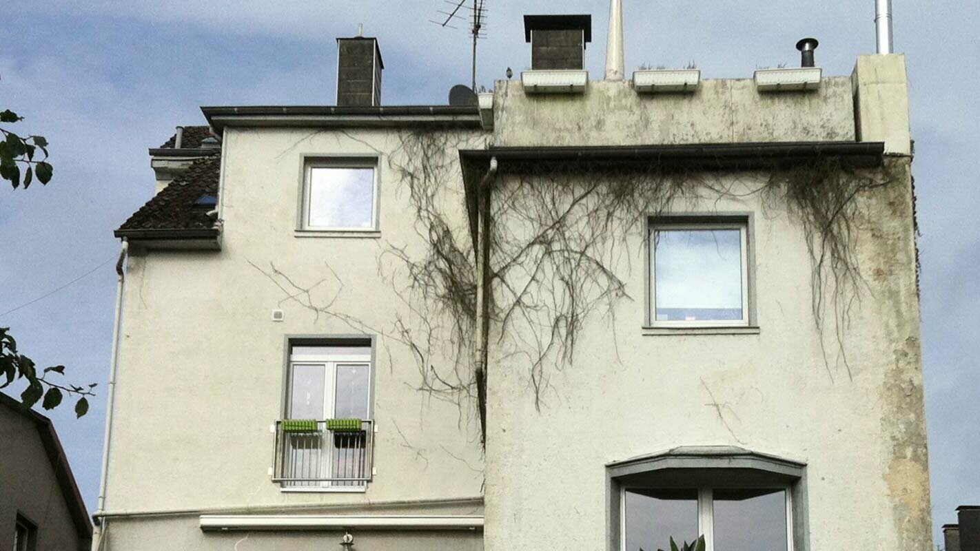 House divided into flats with a façade in need of renovation. Climbers are growing on the façade, corroding it. It has been renovated with PREFA sidings.