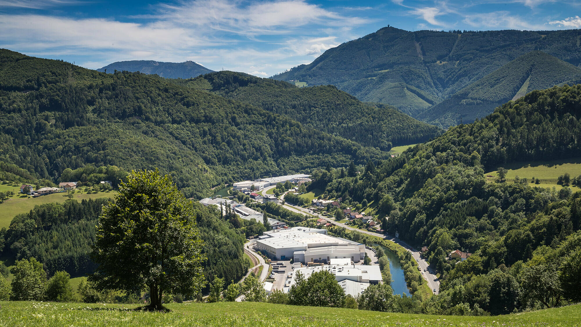 Image of the PREFA factory in Marktl from one of the surrounding hills, with a tree in a green meadow in the foreground and the large forests of Lilienfeld in the background