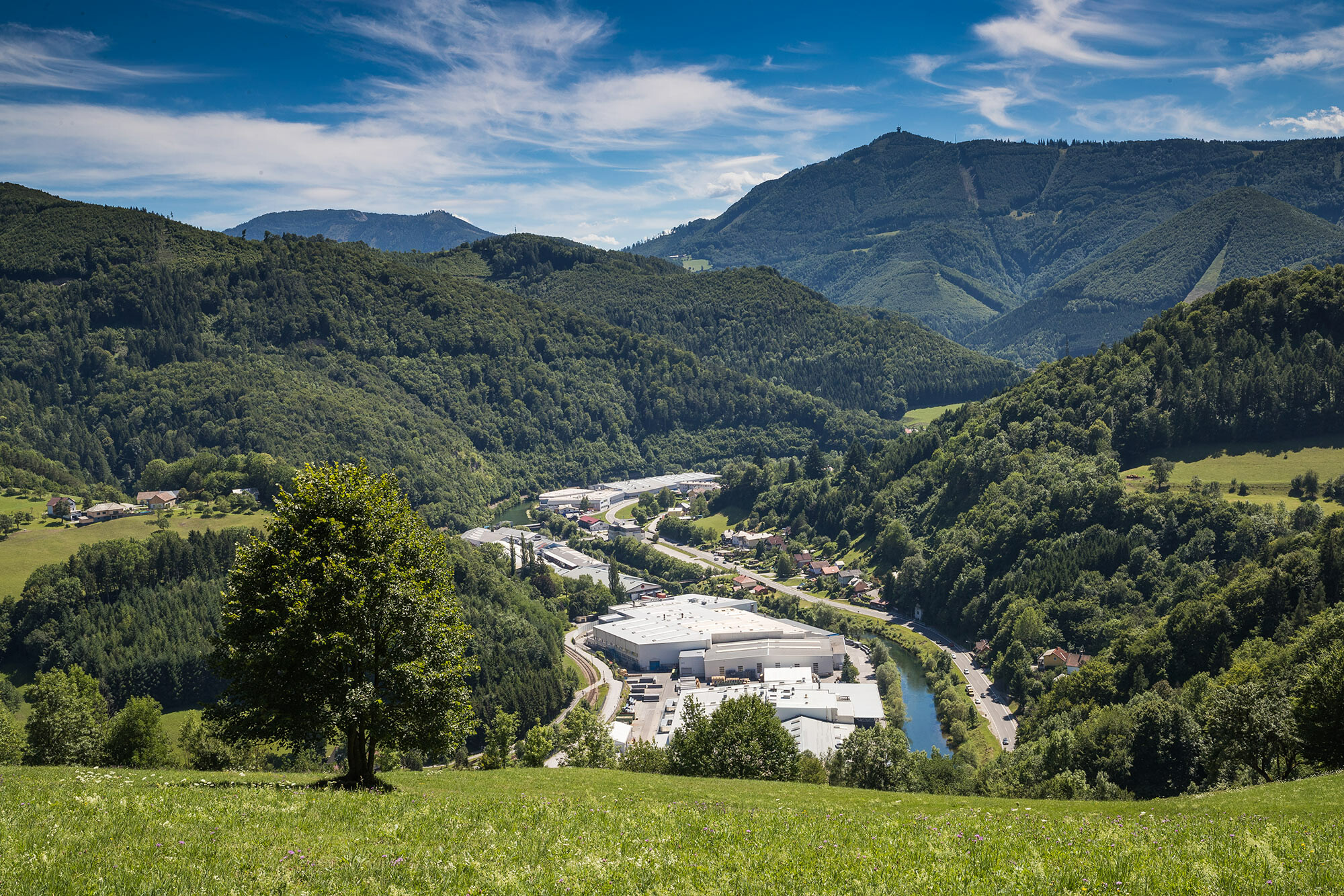 Image of the PREFA factory in Marktl from one of the surrounding hills, with a tree in a green meadow in the foreground and the large forests of Lilienfeld in the background