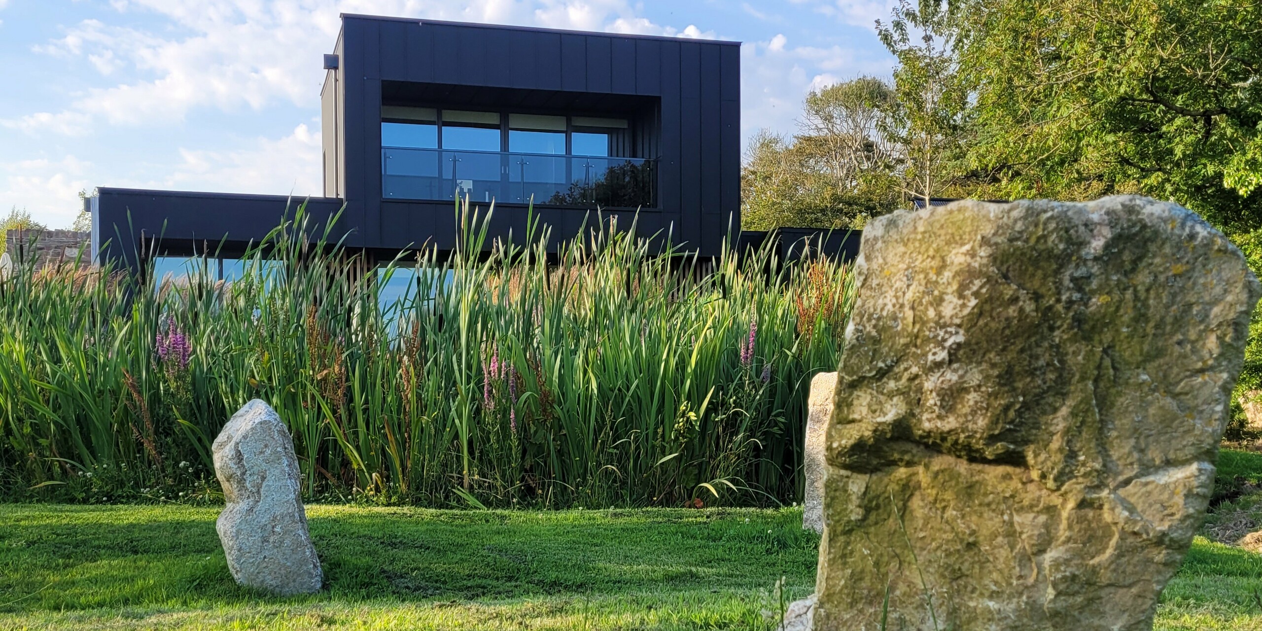 Das Foto zeigt das moderne Einfamilienhaus in Wexford in eindrucksvoller Perspektive: Im Vordergrund stehen markante Natursteine, dahinter hohe Ziergräser mit violetten Blüten, die eine lebendige, naturverbundene Atmosphäre schaffen. Im Hintergrund hebt sich die elegante schwarze PREFALZ Fassade in P.10 Schwarz klar ab. Die vertikale Linienführung und die matte Aluminiumoberfläche verleihen dem Gebäude eine moderne Stärke und betonen seine witterungsbeständige, langlebige Qualität. Die Komposition aus wildem Garten und moderner Architektur wirkt besonders ausdrucksstark und harmonisch.