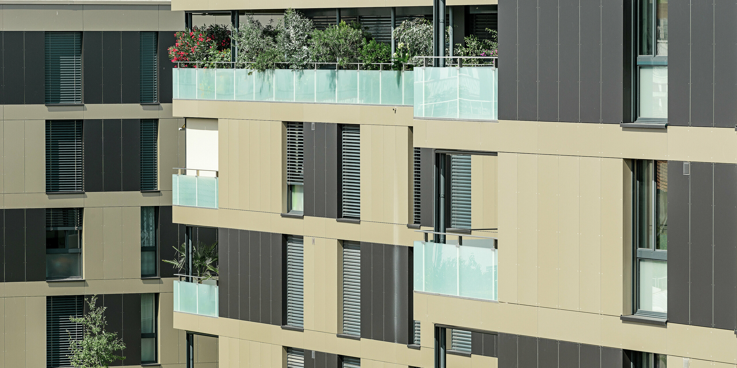 Cubic residential complex with an aluminium façade in bronze with black grey components