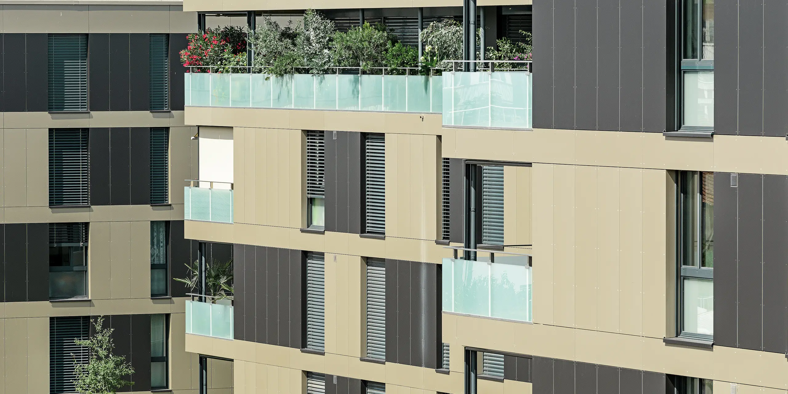 Cubic residential complex with an aluminium façade in bronze with black grey components